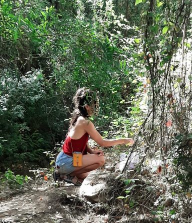 Sesiones en la naturaleza