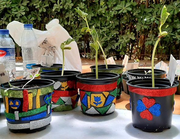 Macetas decoradas con plantas en crecimiento